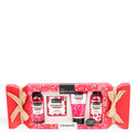 Organic Red Fruit Candy Estuche Organic Red Fruit Candy Estuche